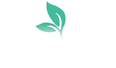 Natural Beauty Trends