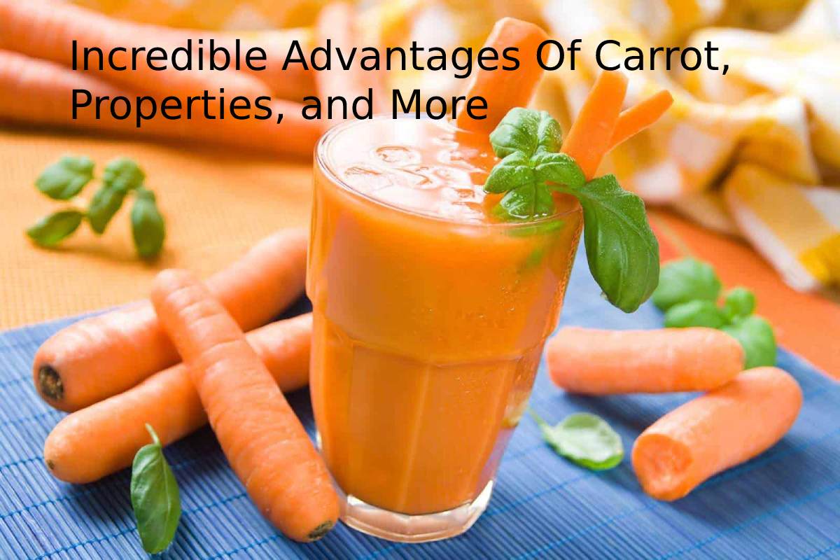 Incredible Advantages Of Carrot, Properties, and More