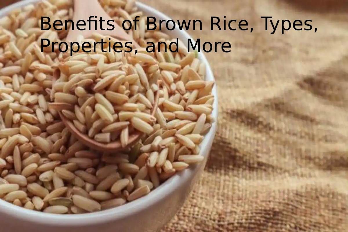 Benefits of Brown Rice, Types, Properties, and More