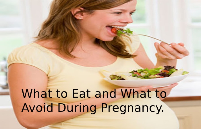 Diet During Pregnancy