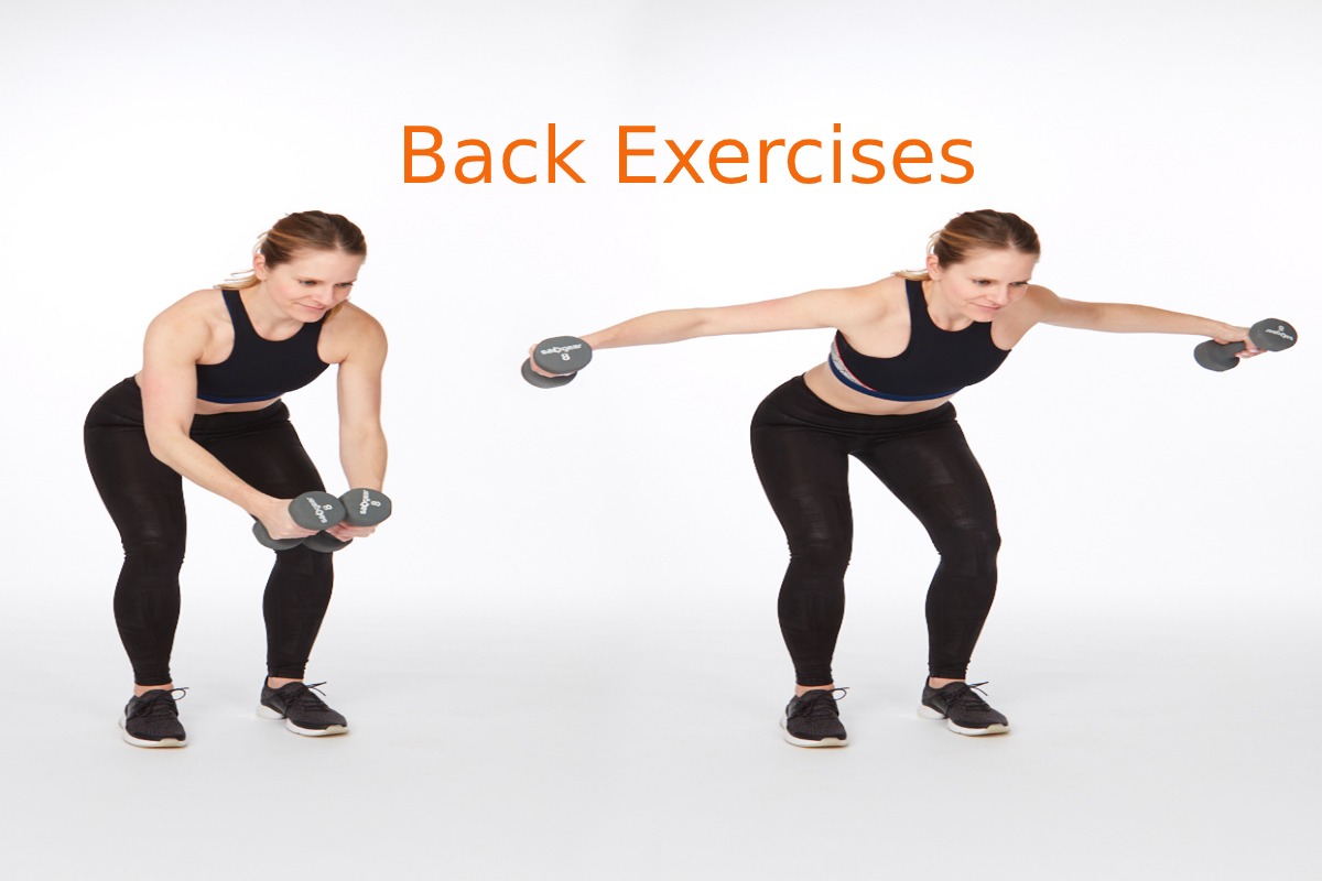 What are Back Exercises? – Best Exercises, Benefits and More