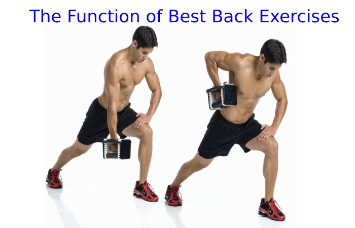 back exercises