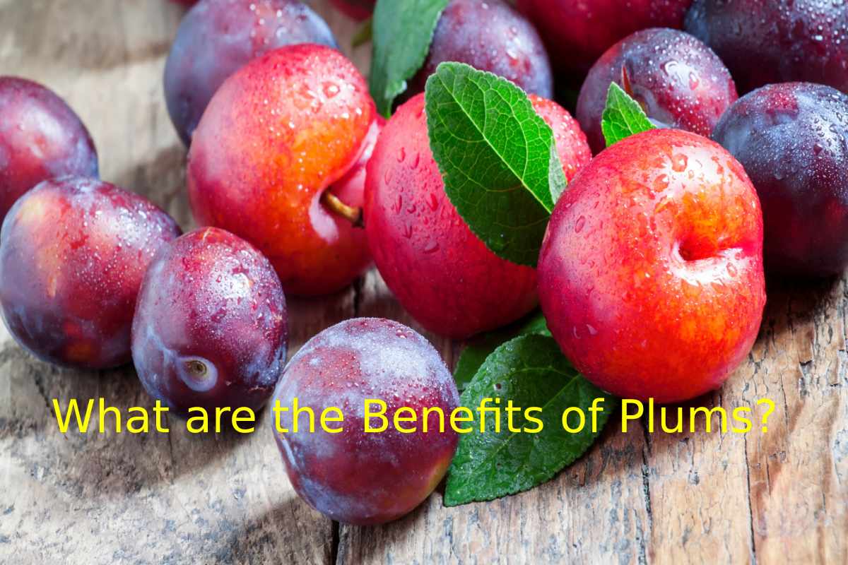 What are the Benefits of Plums?