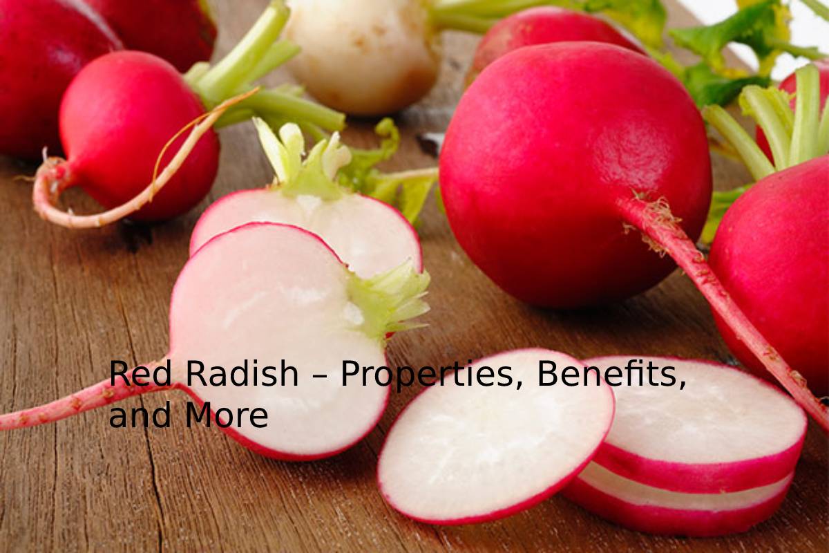 Red Radish – Properties, Benefits, and More