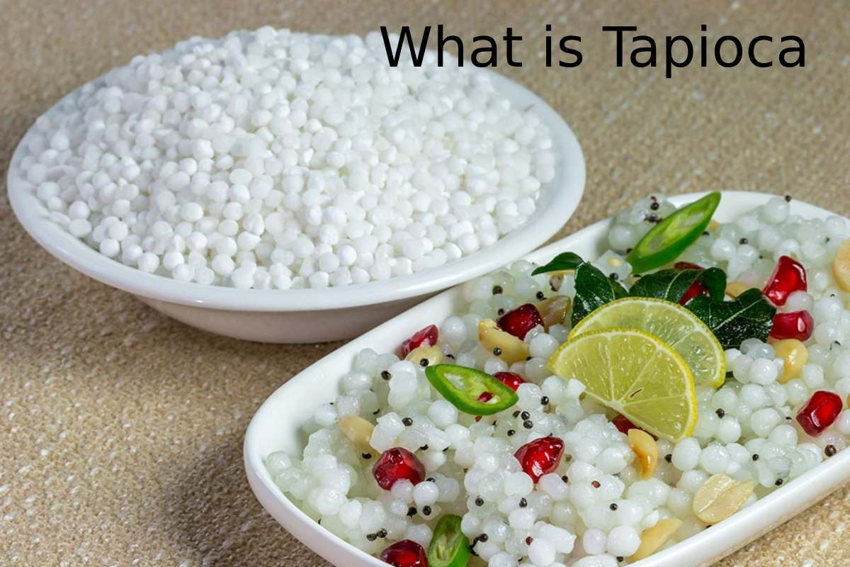 What is Tapioca? – Nutritional properties, Benefits, and More