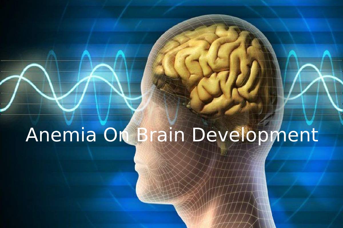 Consequences Of Anemia On Brain Development