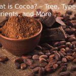 What is Cocoa? – Types, Nutrients, and More