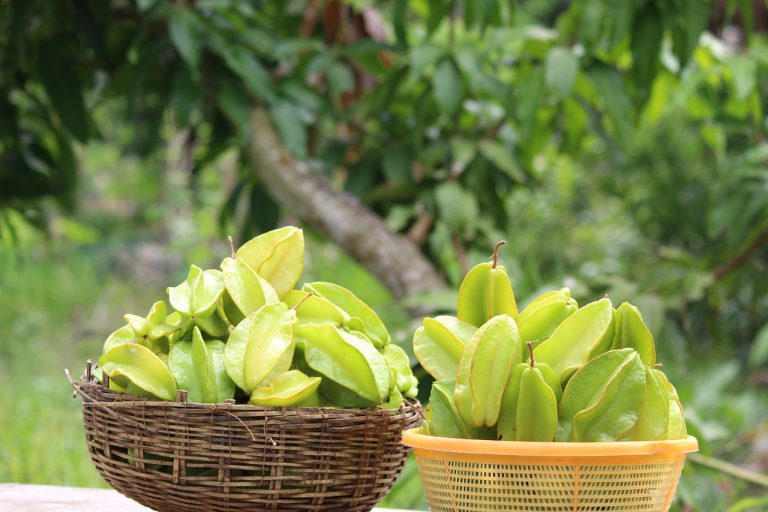 star fruit