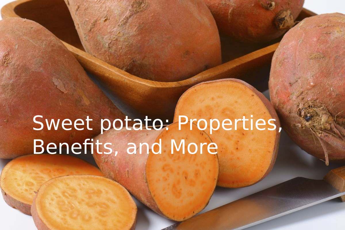 Sweet Potatoes : Properties, Benefits, and More