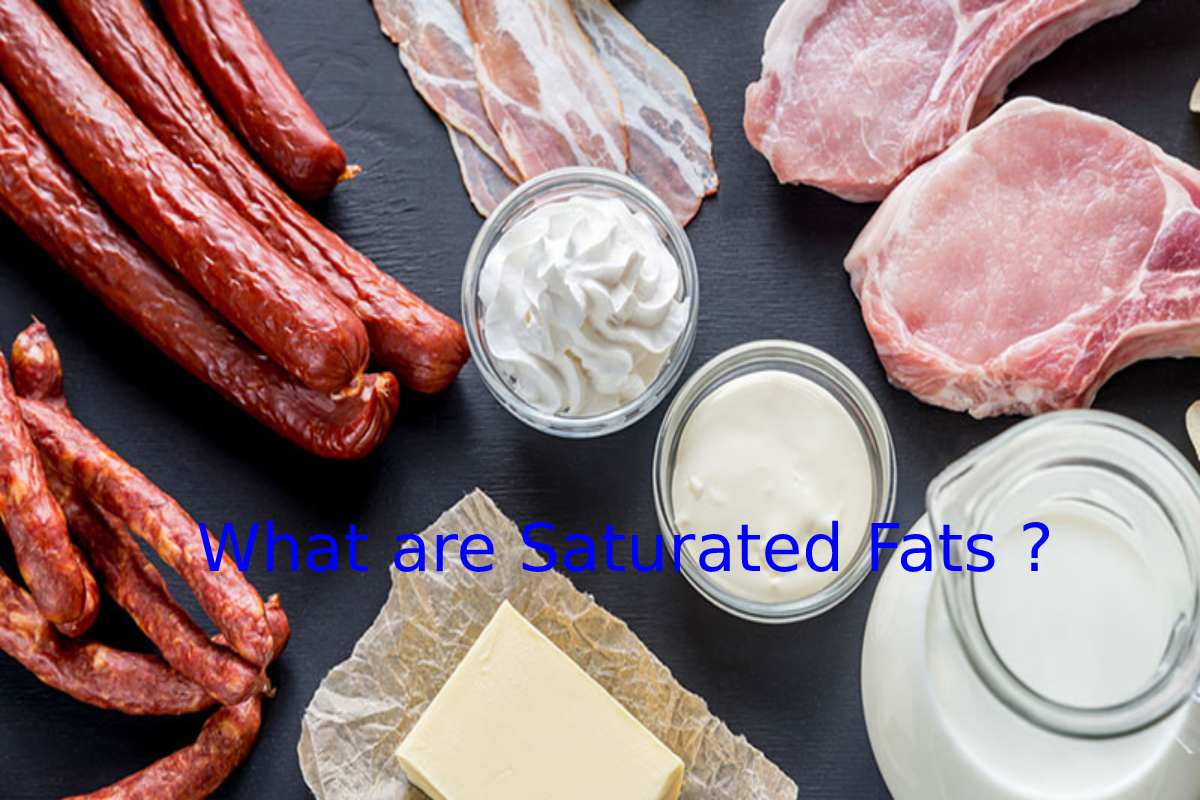 What are Saturated Fats ?