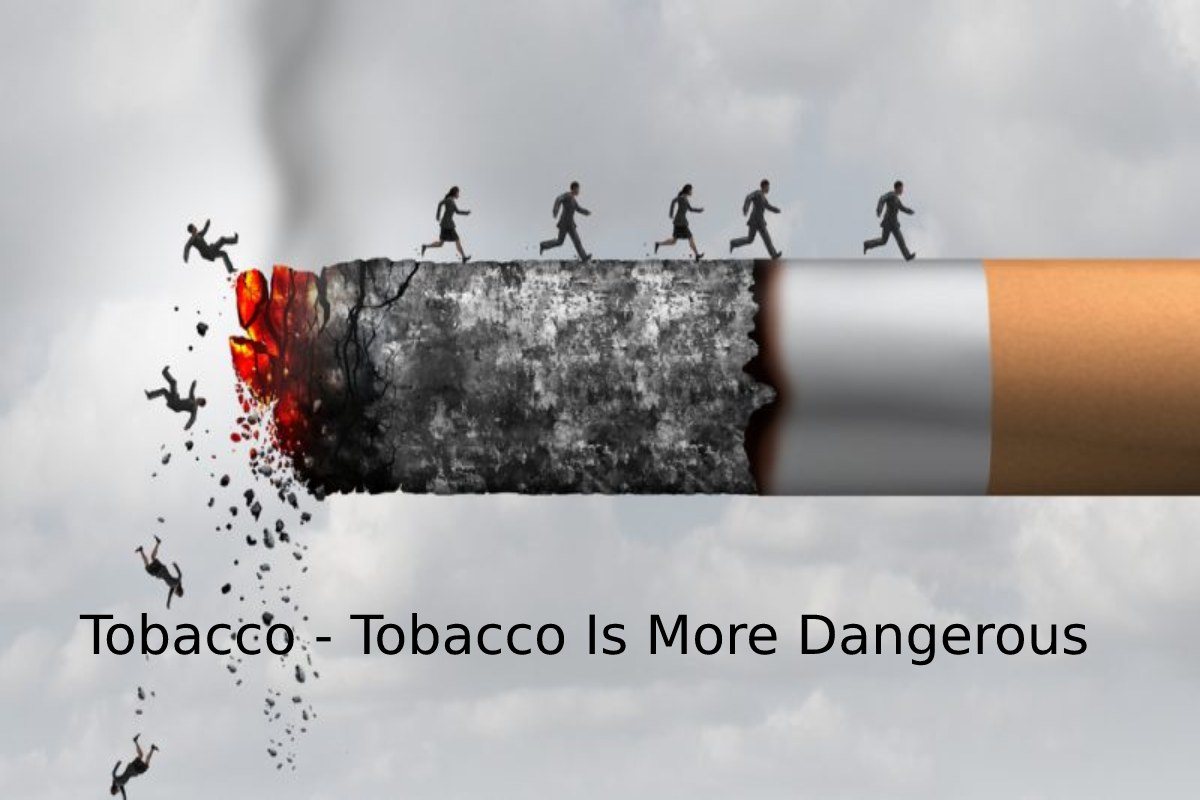 Tobacco Is More Dangerous