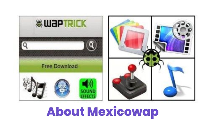 About Mexicowap