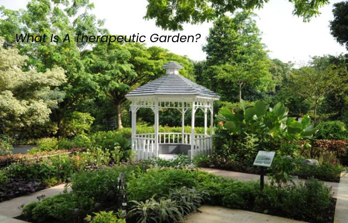 What Is A Therapeutic Garden_