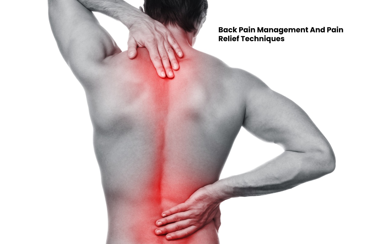 https://www.agresi.my.id/2021/10/back-pain-management-and-pain-relieving.html