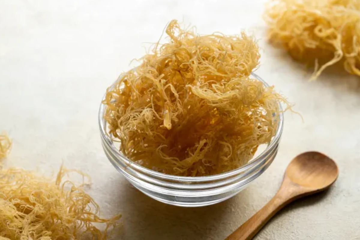 How Long Does It Take For Sea Moss To Start Working In Your Body