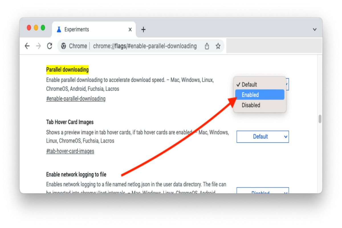 Chrome Flags /# Enable Parallel Downloading