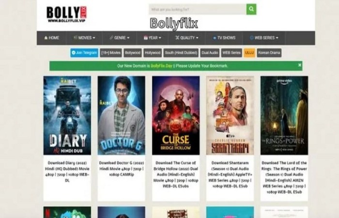 What is the Bolly Flix APK App_
