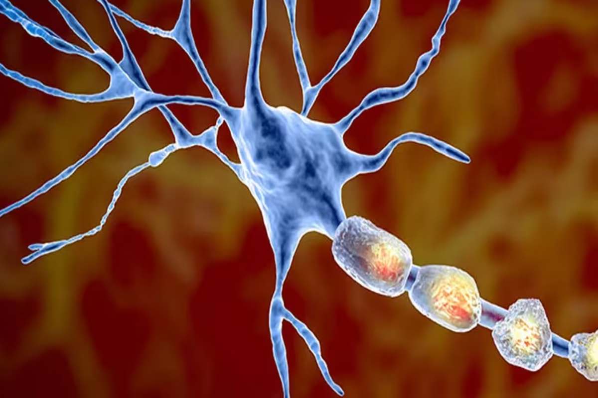 What is Multiple Sclerosis? – Types, Disease, Symptoms, and More