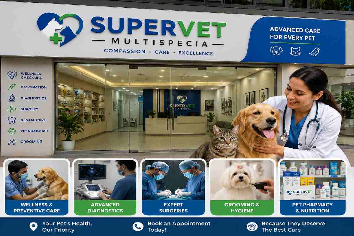 Supervet Multispecia: Complete Veterinary Hospital Guide