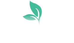 naturalbeautytrends logo